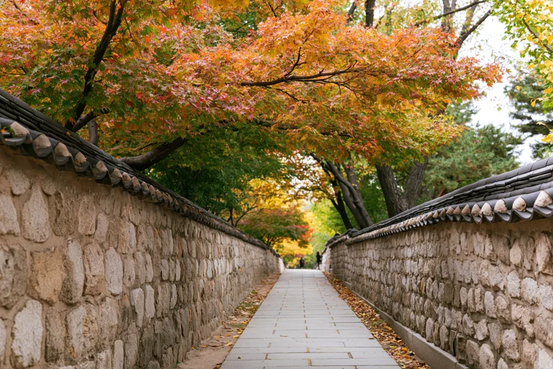 Stone-walled pathway lined with autumn trees in a korean palace garden