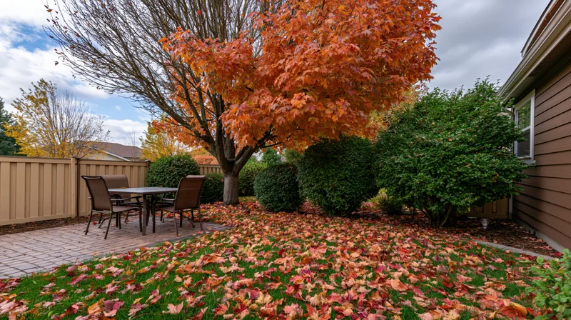 Autumn backyard with maple tree dropping leaves onto lawn and patio near house
