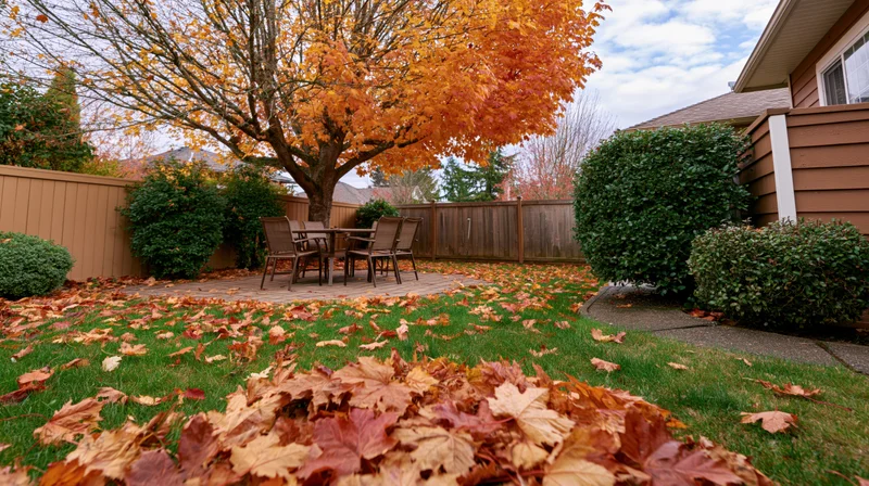 Autumn backyard with maple tree shedding leaves onto lawn and patio furniture near house