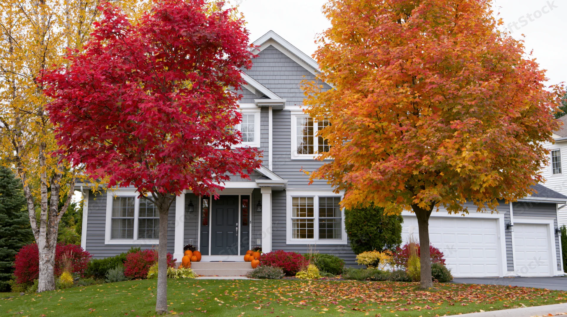 Suburban house with colorful autumn trees and pumpkins on the front porch
