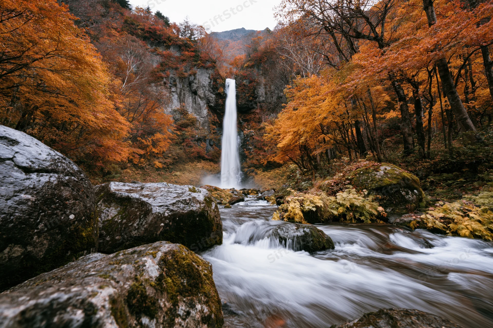 Tall waterfall cascading down rocky cliff into stream surrounded by autumn forest