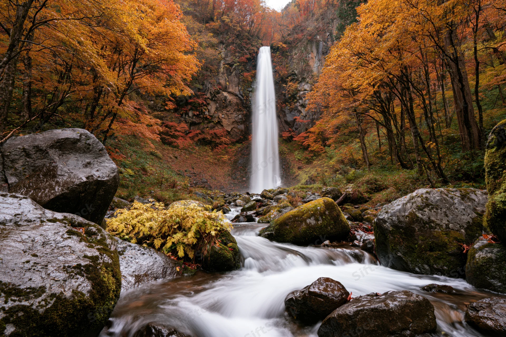 Tall waterfall cascading down rocky cliff into stream surrounded by autumn forest