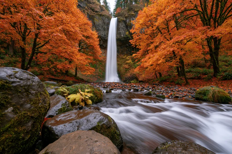 Tall waterfall cascading down rocky cliff into stream surrounded by autumn trees with orange foliage
