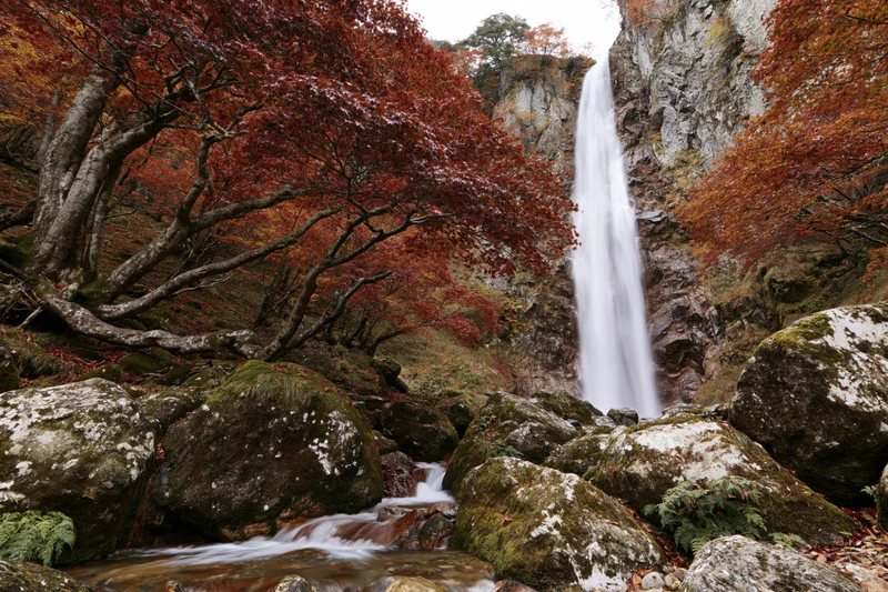 Tall waterfall cascading down rocky cliff into stream surrounded by autumn foliage and moss-covered boulders