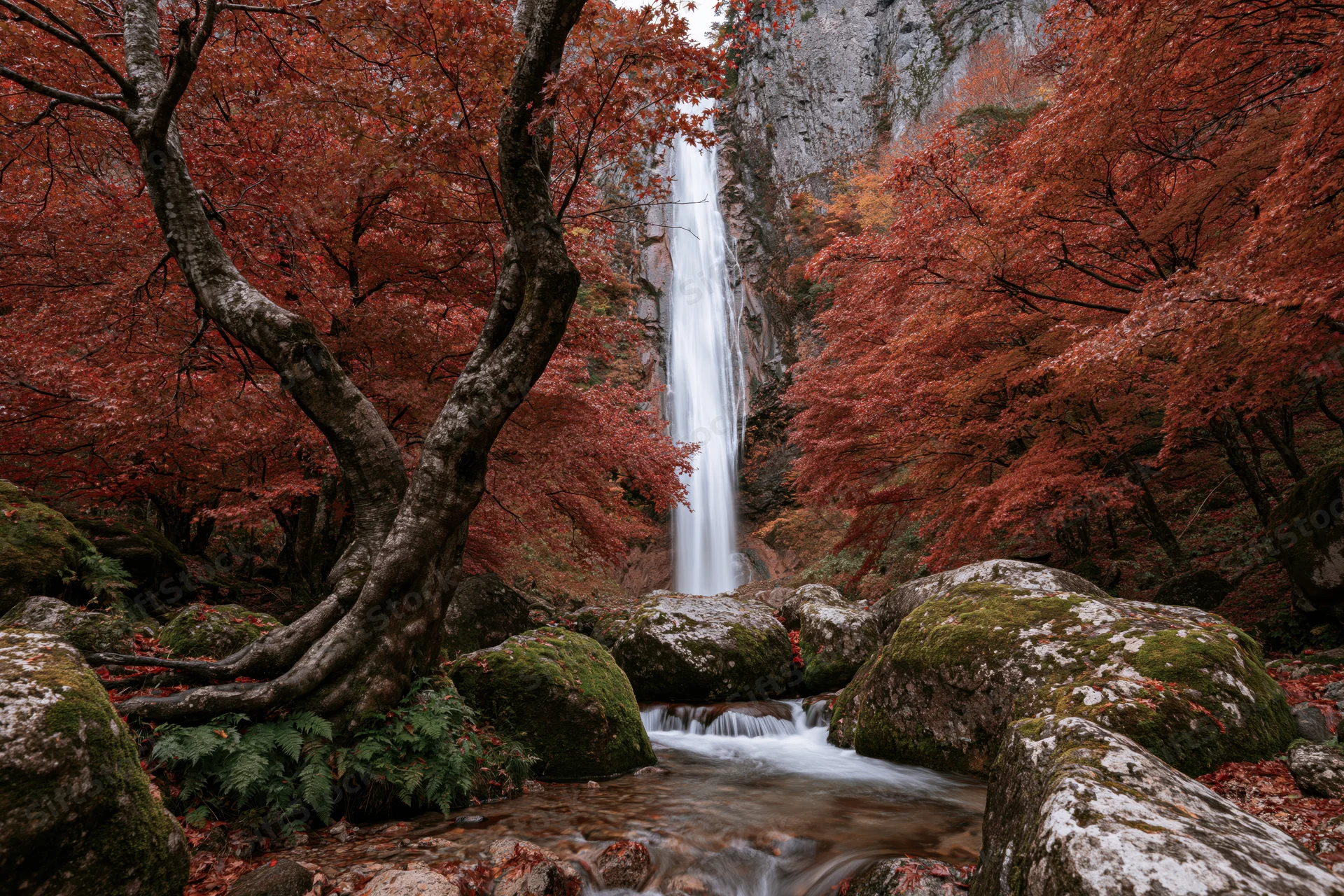Tall waterfall cascading down rocky cliff into stream surrounded by red autumn trees and moss-covered rocks