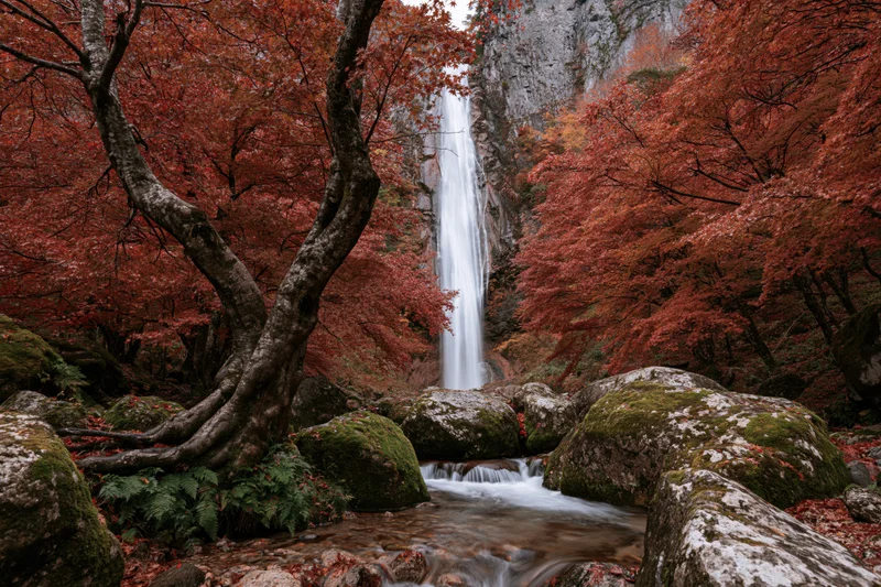 Tall waterfall cascading down rocky cliff into stream surrounded by red autumn trees and moss-covered rocks