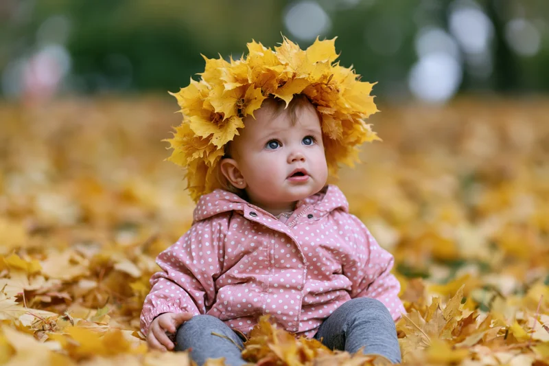 Toddler girl sitting in a pile of fallen autumn maple leaves wearing a leaf crown and pink polka dot jacket