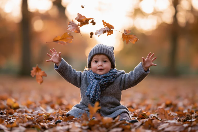 Toddler sitting on fallen autumn leaves in a park, arms raised, surrounded by floating leaves, wearing gray coat, hat and blue scarf