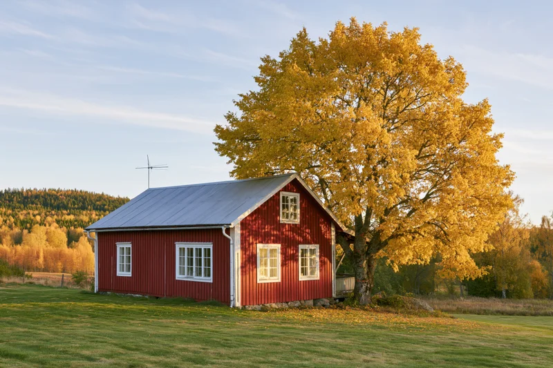 Red swedish farmhouse with golden autumn tree beside it in rural countryside