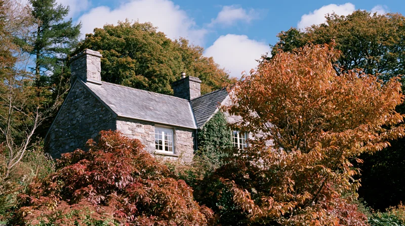 Stone cottage nestled among autumn trees in a rural landscape