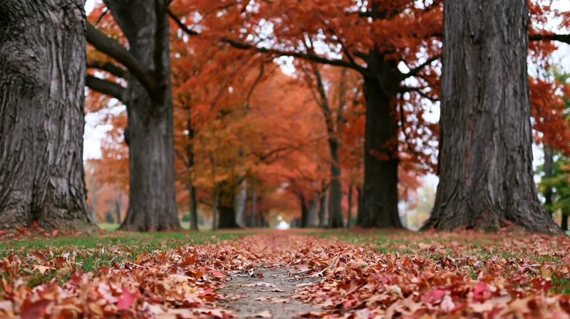 Tree-lined path covered in fallen autumn leaves receding into the distance