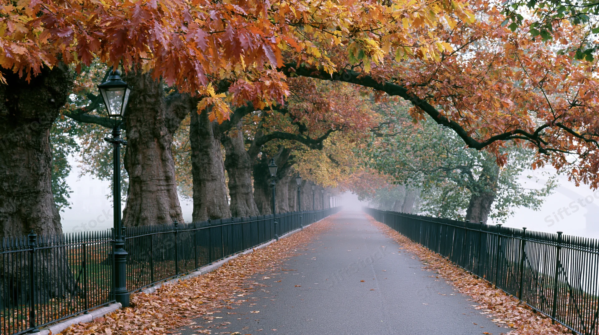 Tree-lined pathway covered in fallen autumn leaves receding into misty distance with lampposts and black iron fence on either side