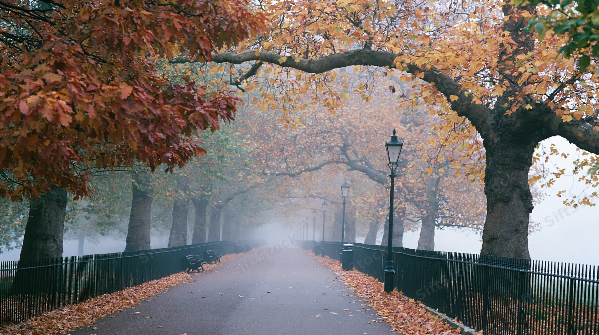 Tree-lined park pathway receding into misty distance with fallen autumn leaves and lampposts along the sides