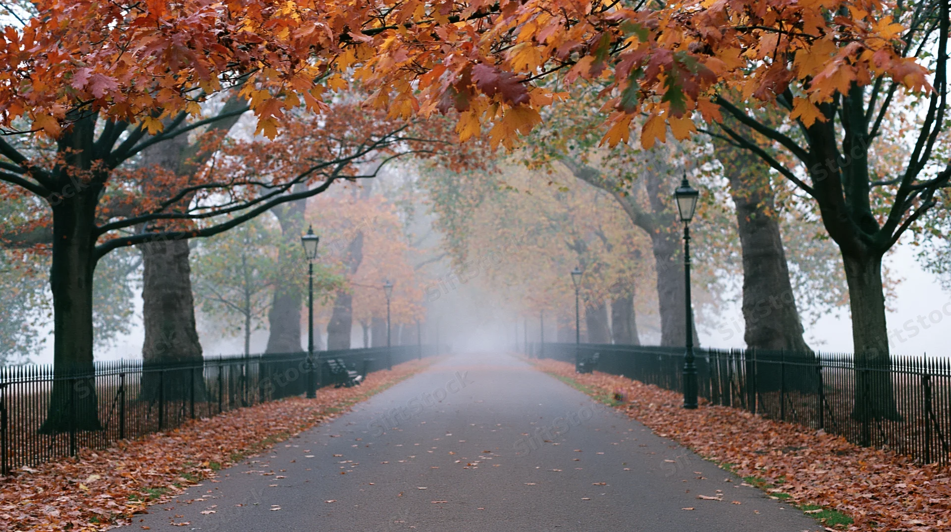 Tree-lined park pathway receding into misty distance with autumn foliage overhead