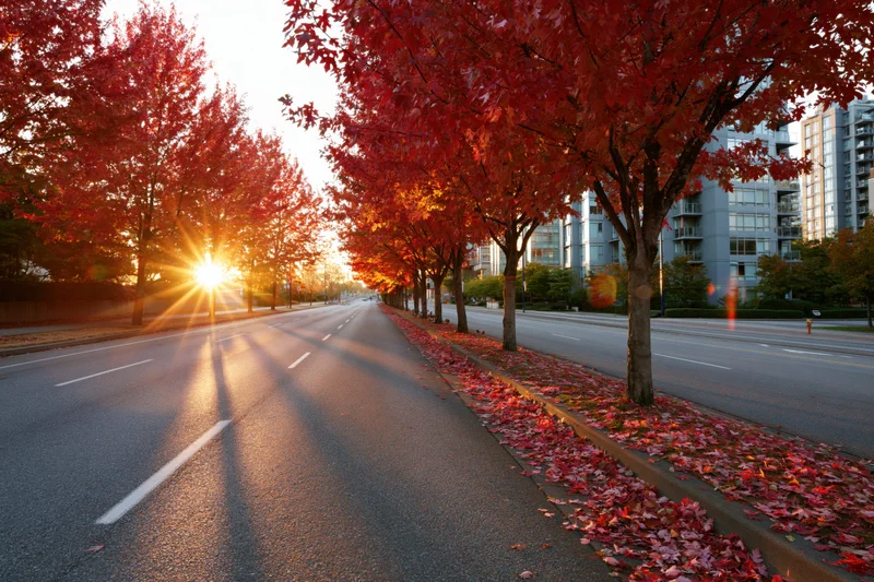 Autumn trees lining an urban avenue at sunset with red foliage and fallen leaves along the sidewalk