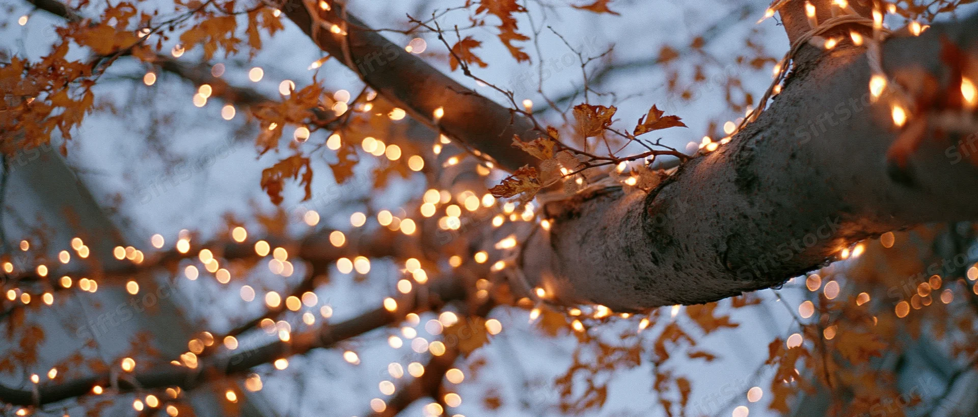 Tree branches draped with warm string lights glowing against twilight sky