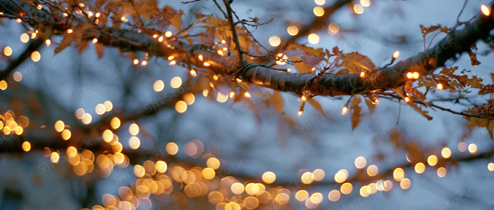 Tree branches draped with warm string lights glowing against a soft blurred background at dusk