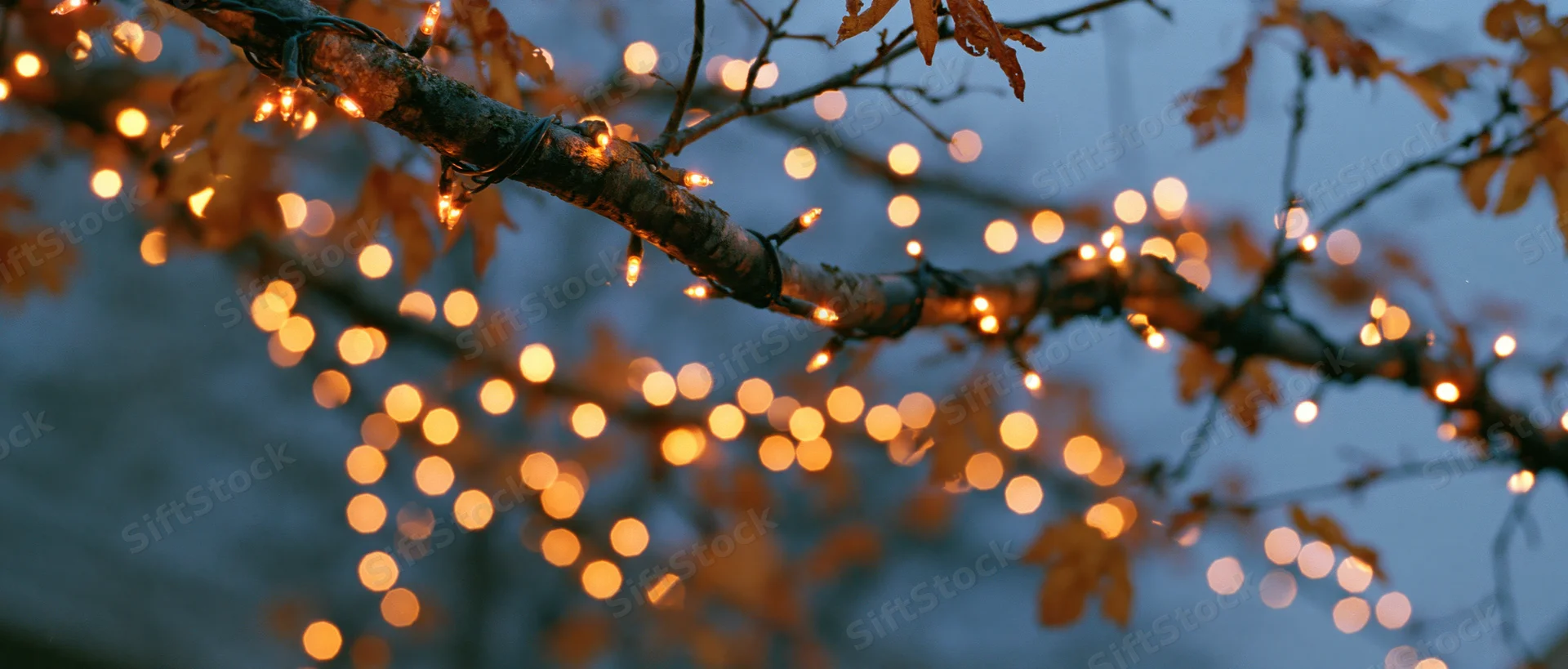 Tree branches draped with warm string lights glowing against twilight sky with autumn leaves and bokeh lights in background