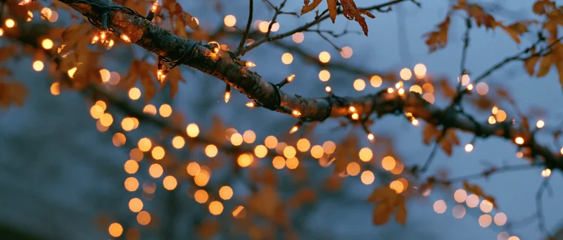 Tree branches draped with warm string lights glowing against twilight sky with autumn leaves and bokeh lights in background