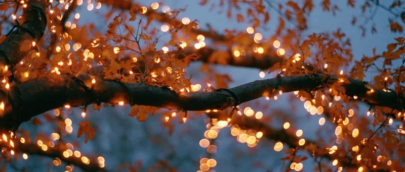 Tree branches draped with warm string lights glowing against twilight sky with autumn leaves