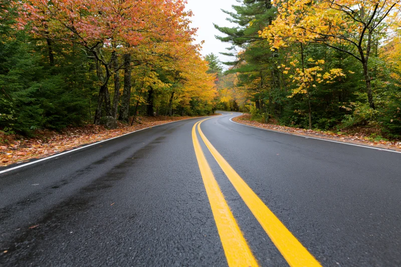 Winding asphalt road with double yellow lines curving through autumn forest with colorful foliage