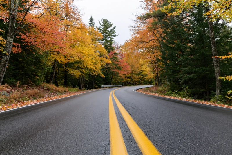 Winding two-lane asphalt road curving through autumn forest with colorful foliage on both sides
