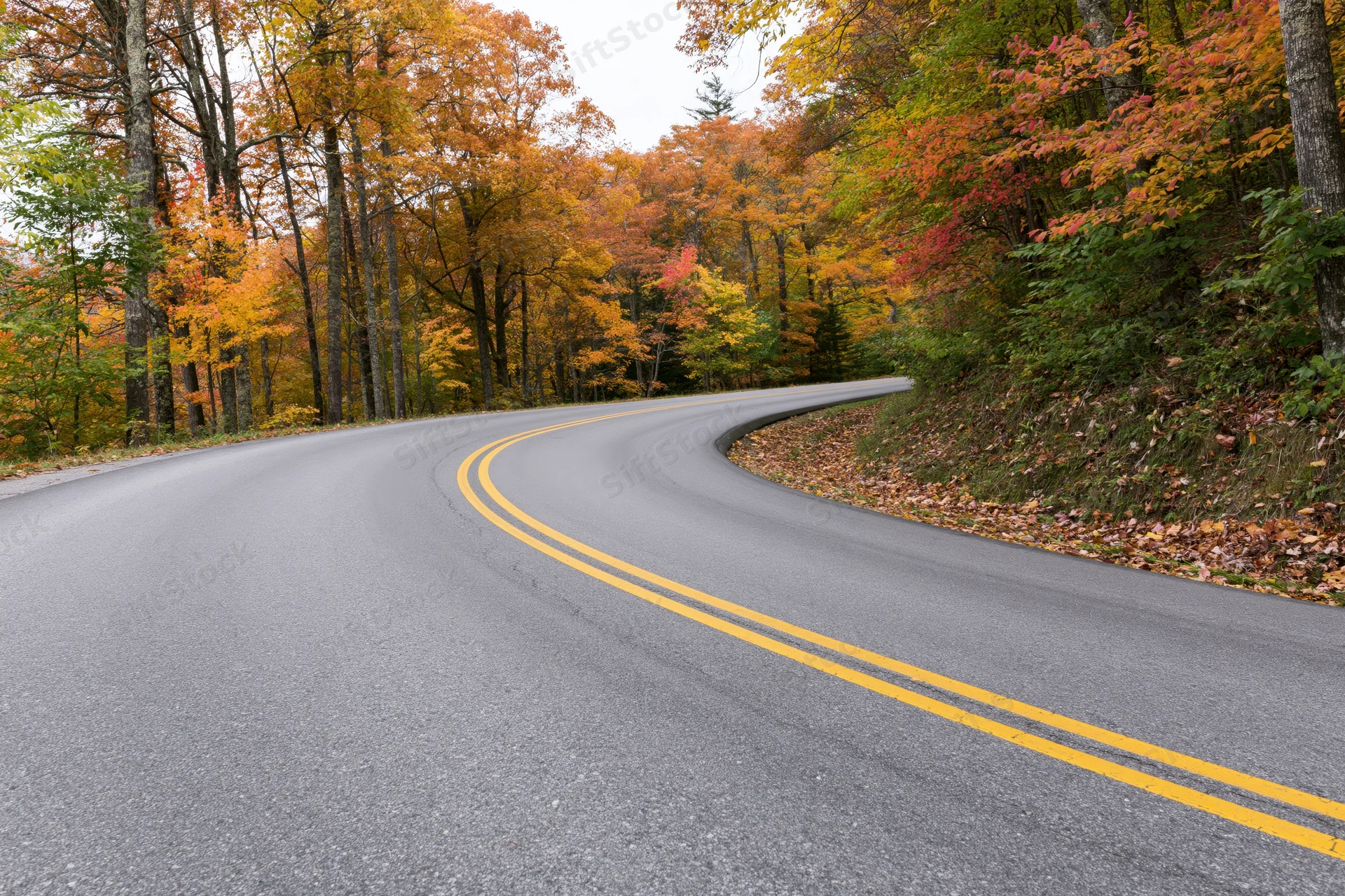 Curving two-lane asphalt road through dense deciduous forest in autumn
