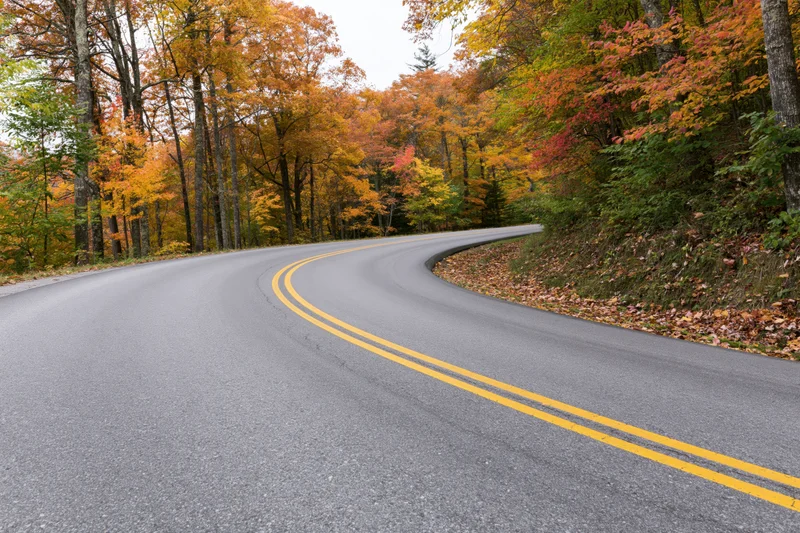 Curving two-lane asphalt road through dense deciduous forest in autumn