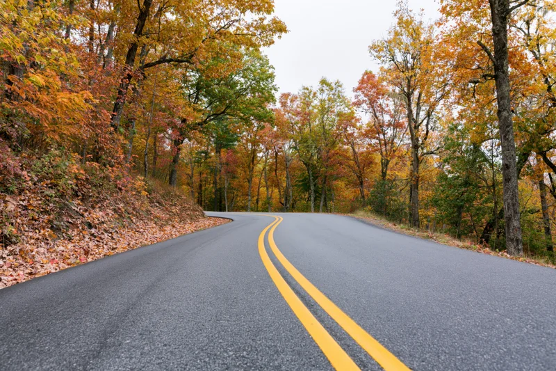 Curving two-lane asphalt road through dense deciduous forest in autumn