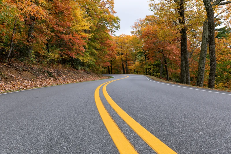 Winding asphalt road curving through dense forest with autumn foliage