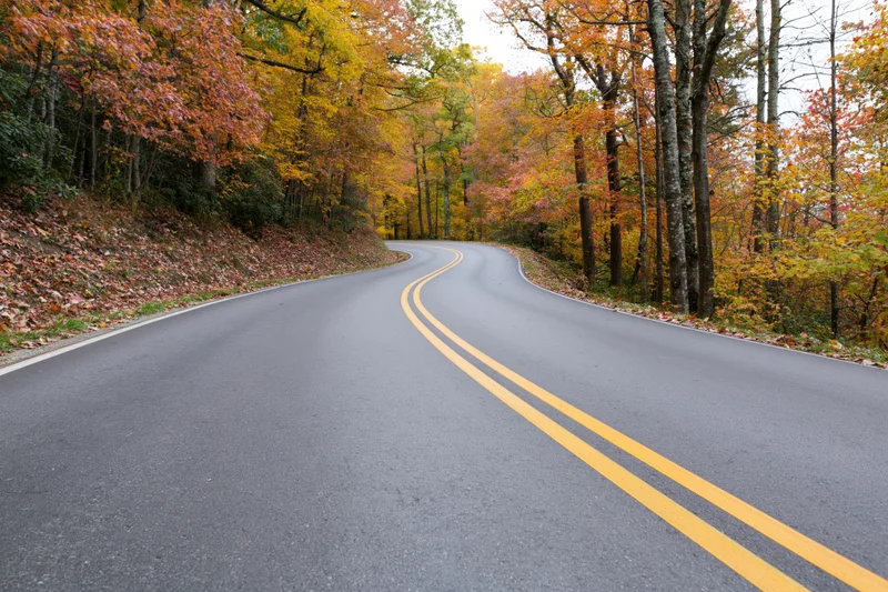 Winding two-lane asphalt road curving through dense deciduous forest in autumn