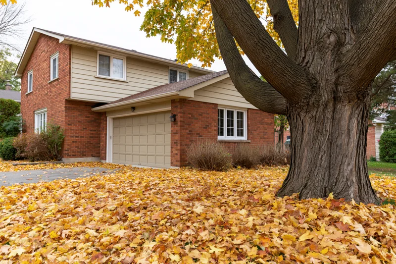 Two-story brick suburban house with beige siding and attached garage surrounded by fallen autumn leaves and a large tree in the front yard