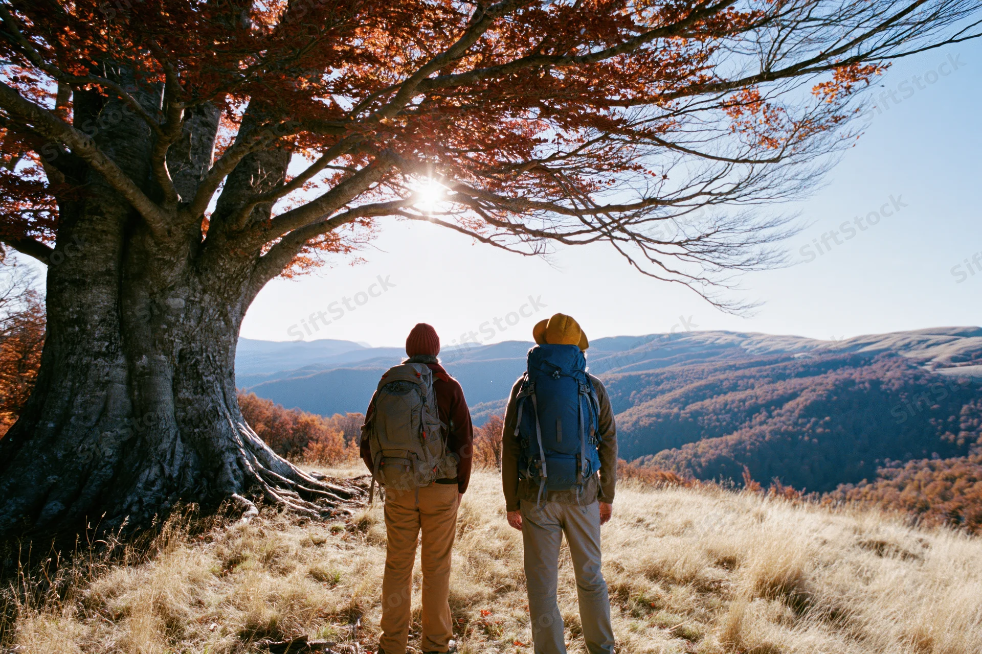 Two hikers with backpacks standing beneath a massive ancient tree overlooking a mountainous autumn landscape