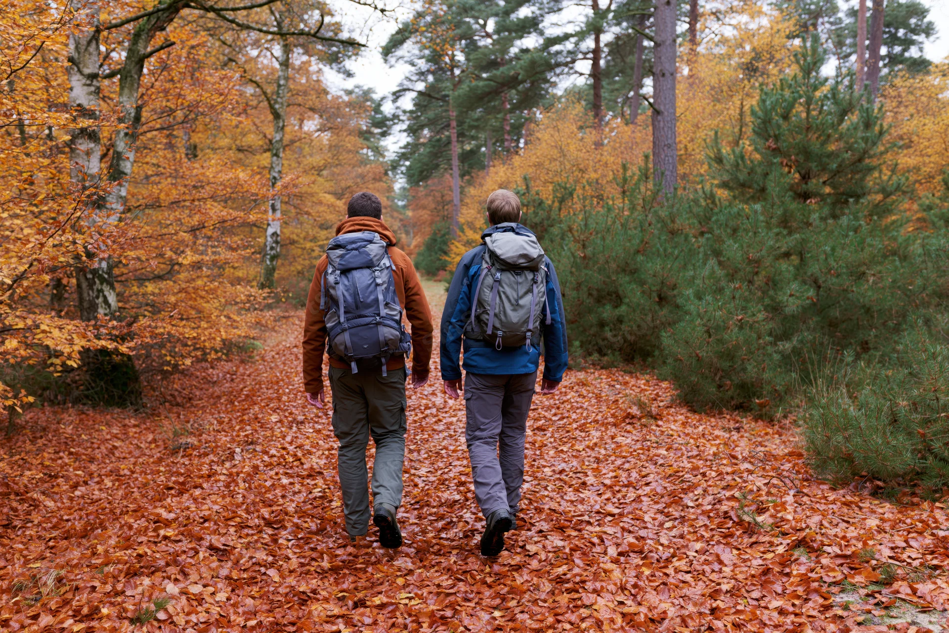 Two hikers with backpacks walking along a leaf-covered forest trail in autumn