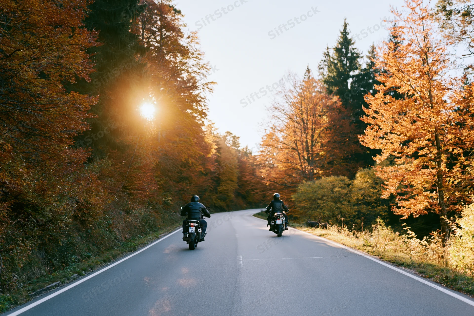 Two motorcyclists riding away on a winding two-lane road through an autumn forest