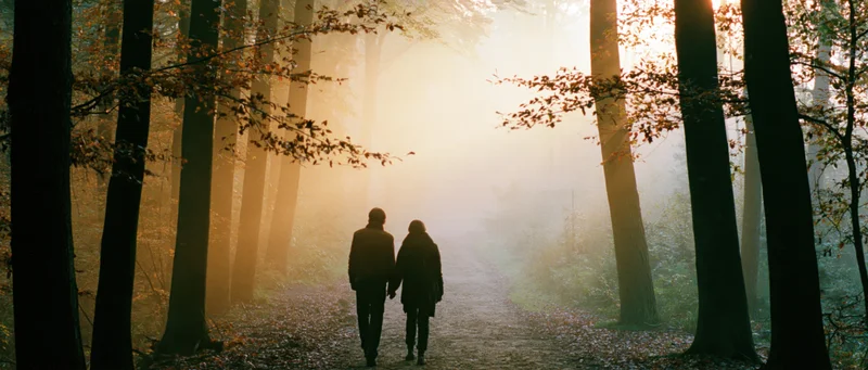 Couple walking hand in hand along a forest path in autumn fog at golden hour