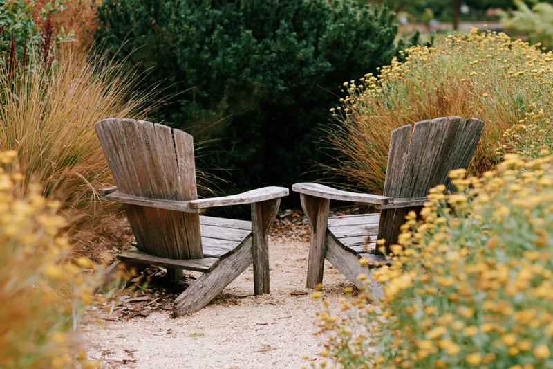 Two weathered wooden adirondack chairs side by side on a gravel path surrounded by yellow flowers and green shrubs in a garden
