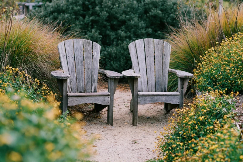 Two weathered wooden adirondack chairs side by side on a garden path surrounded by yellow flowers and green shrubs