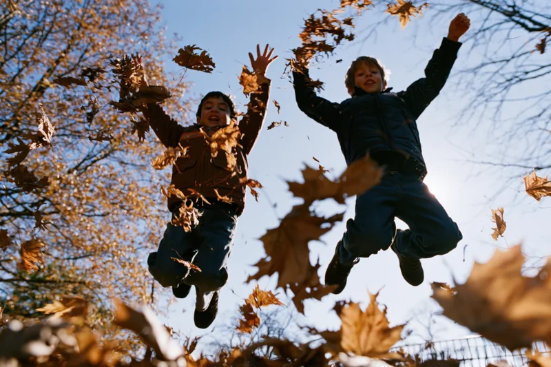 Two boys jumping in midair tossing autumn leaves in a park under blue sky