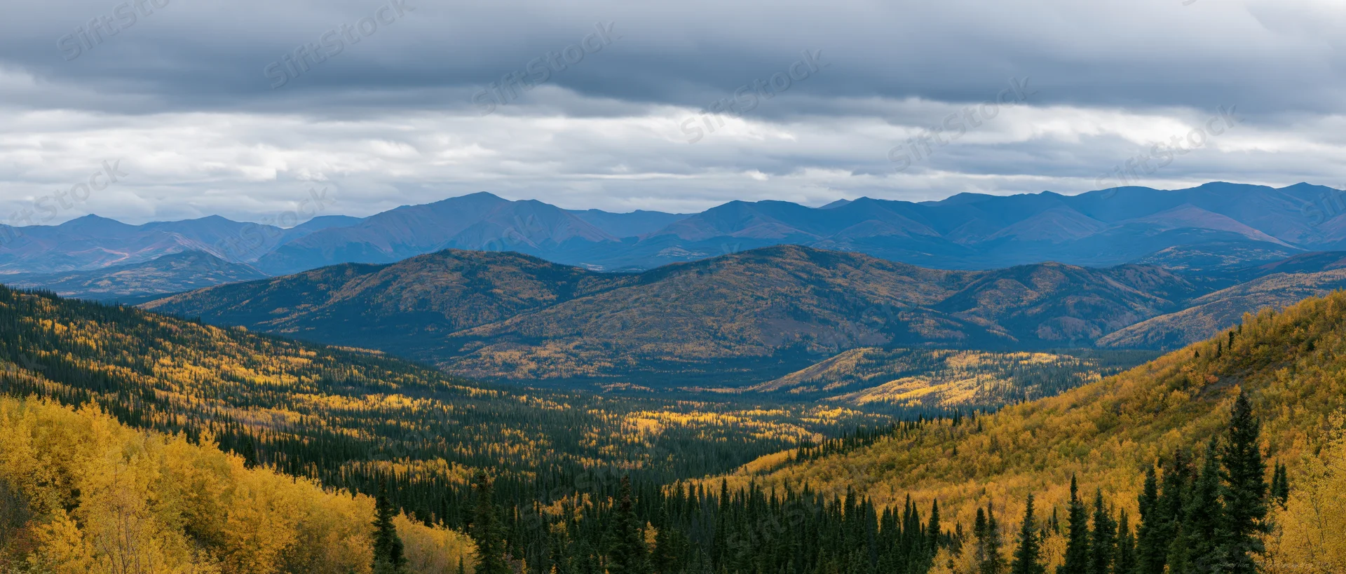 Vast mountain valley covered in autumn-colored aspen and conifer trees under an overcast sky
