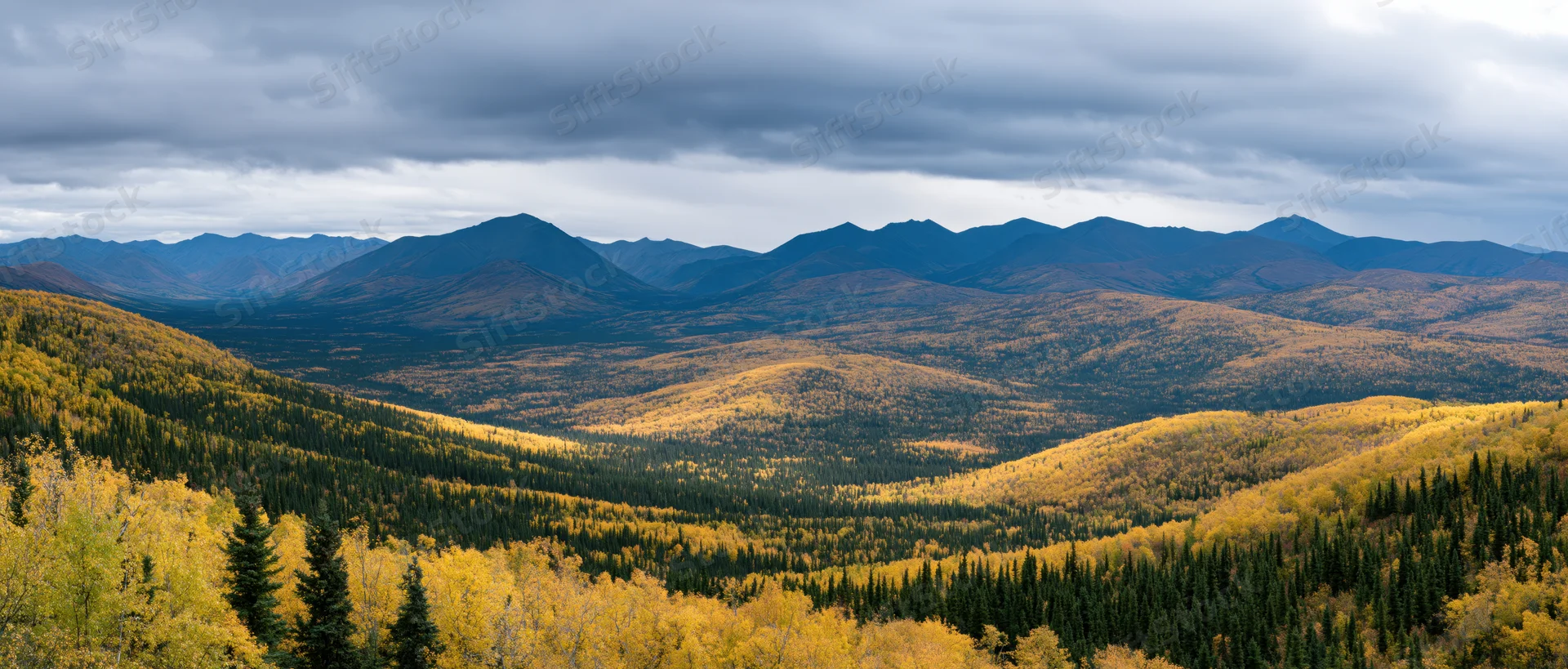 Panoramic view of a northern wilderness valley in autumn with golden foliage and distant mountains under an overcast sky