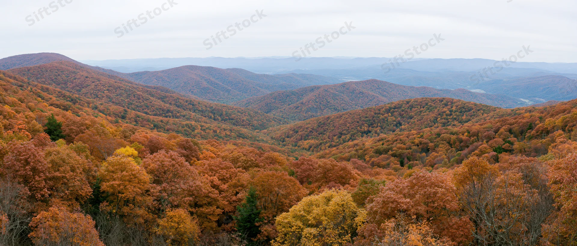 Panoramic view of autumn-colored forested mountains and valleys from an overlook