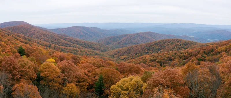 Panoramic view of autumn-colored forested mountains and valleys from an overlook