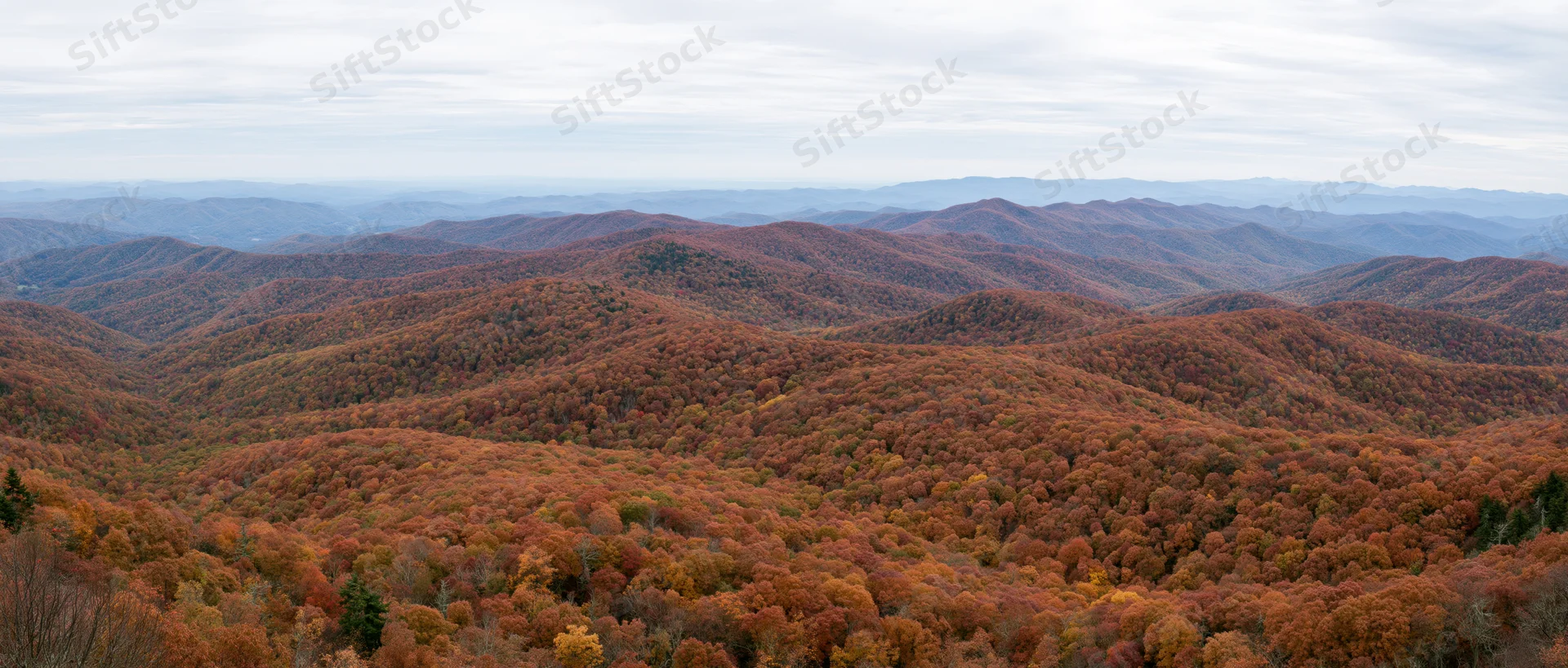 Panoramic view of autumn forested mountains under overcast sky