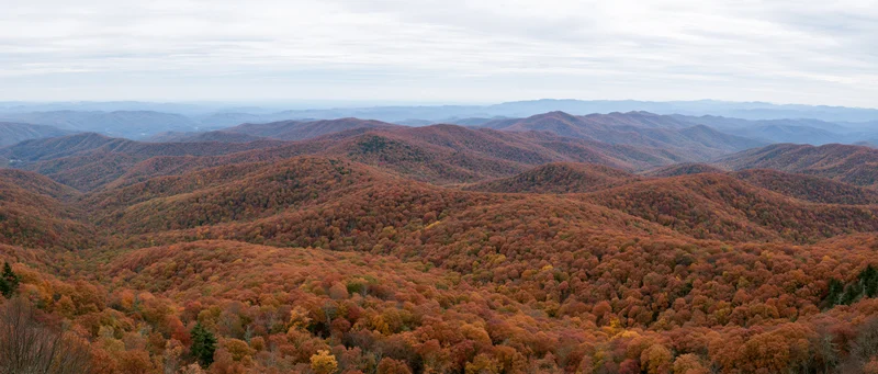 Panoramic view of autumn forested mountains under overcast sky