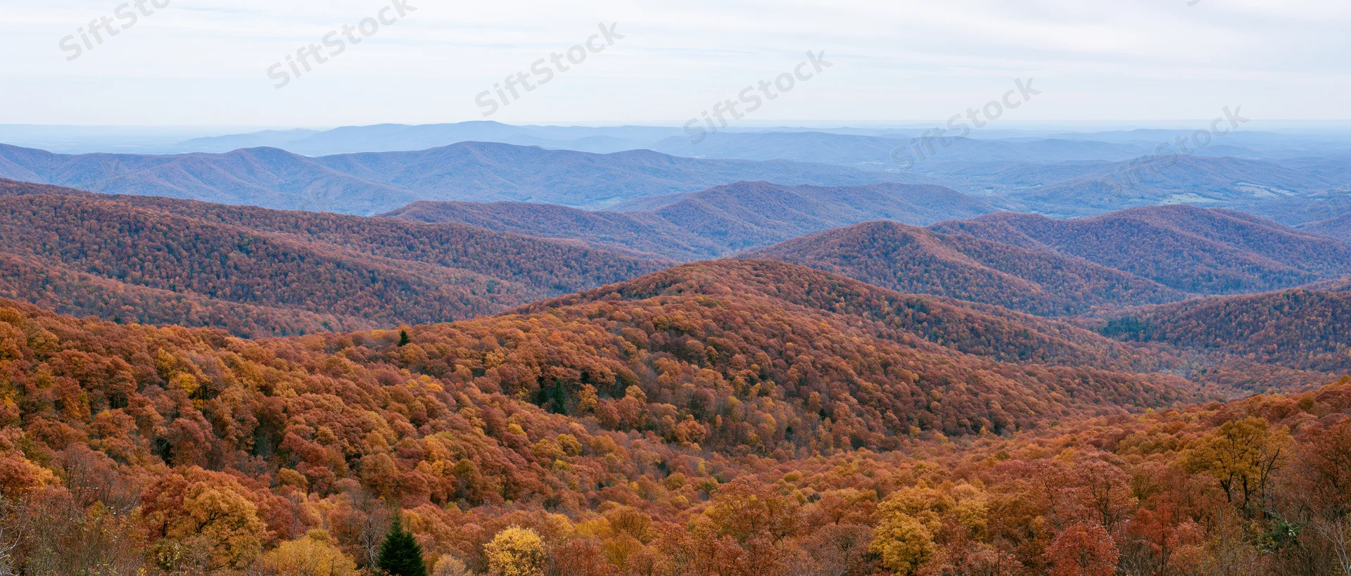 Panoramic view of autumn forested mountains under overcast sky