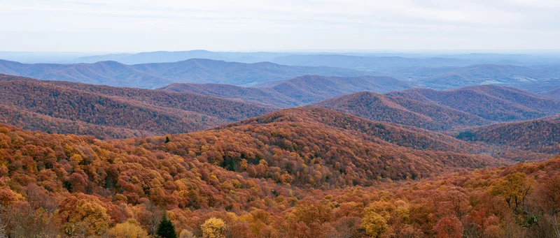 Panoramic view of autumn forested mountains under overcast sky