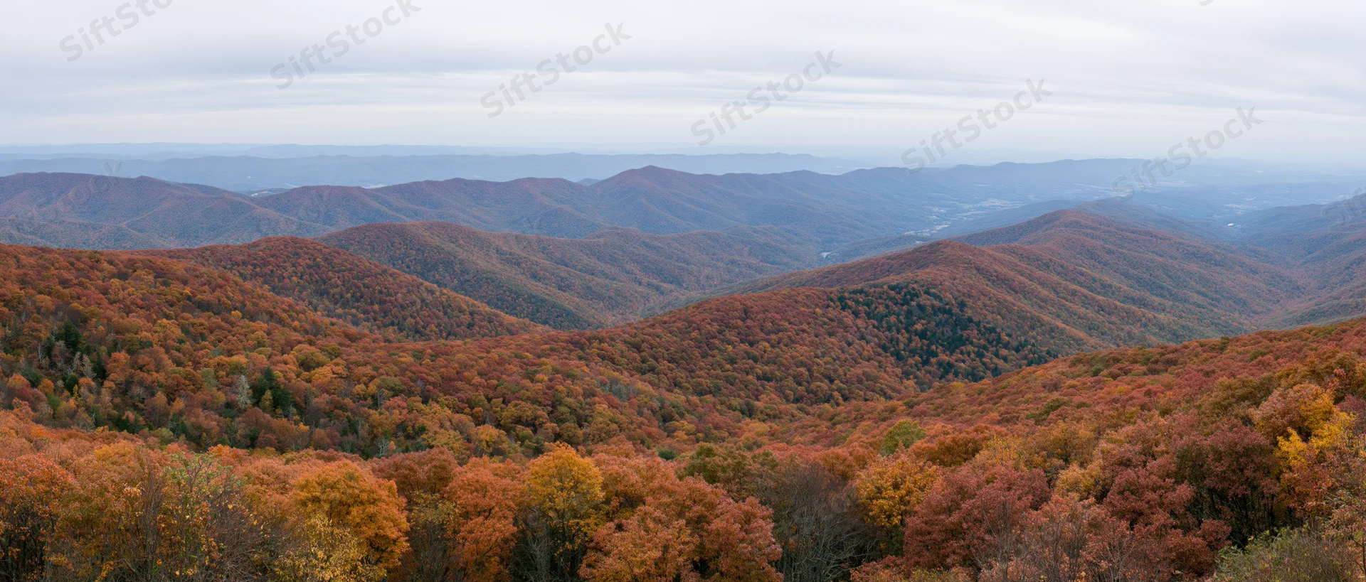 Panoramic view of autumn-colored forested mountains stretching into the distance under an overcast sky