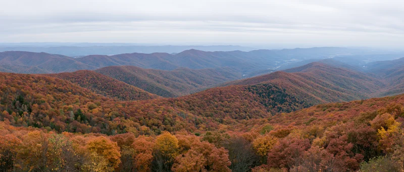 Panoramic view of autumn-colored forested mountains stretching into the distance under an overcast sky