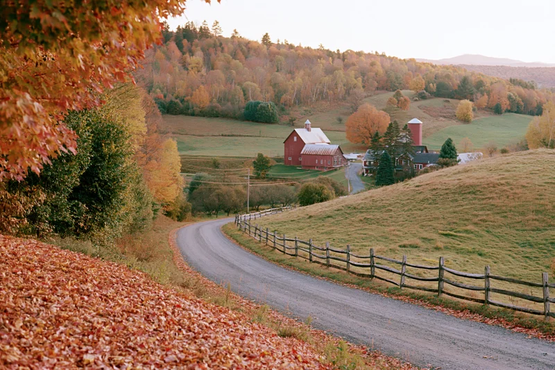 Winding road through autumn foliage leading to a red barn on a Vermont hillside farm
